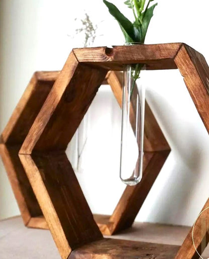 Honeycomb Propagation Shelf