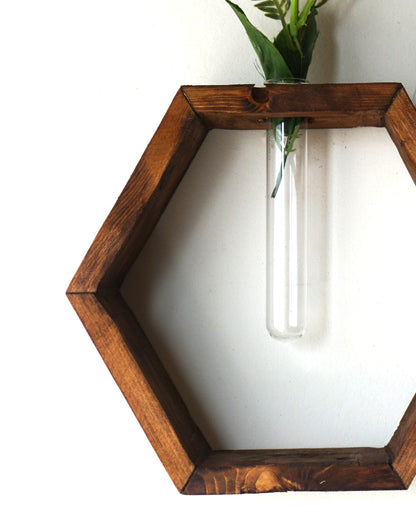 Honeycomb Propagation Shelf