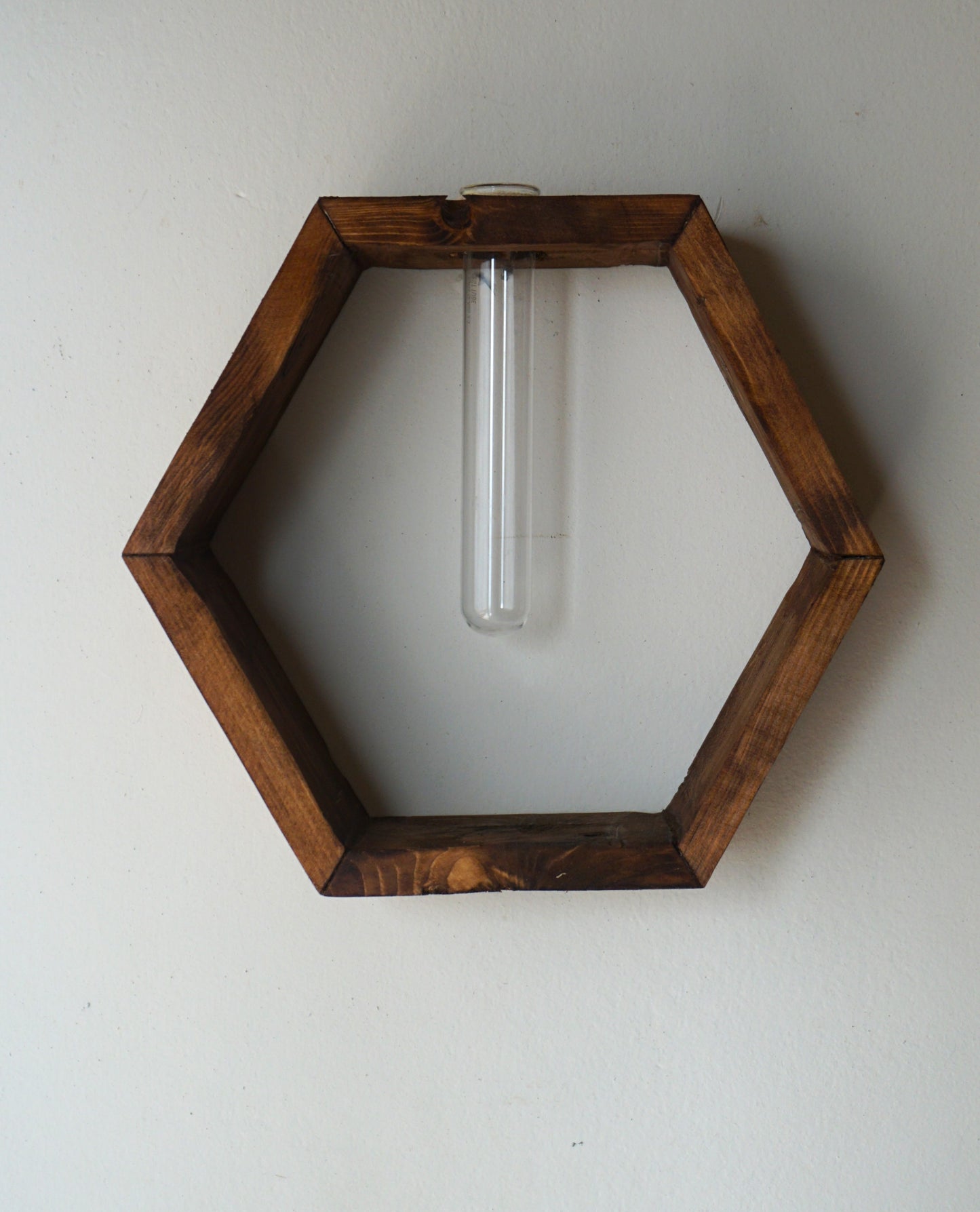 Honeycomb Propagation Shelf