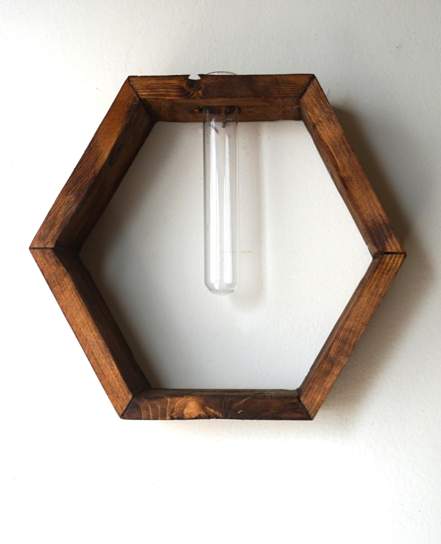 Honeycomb Propagation Shelf