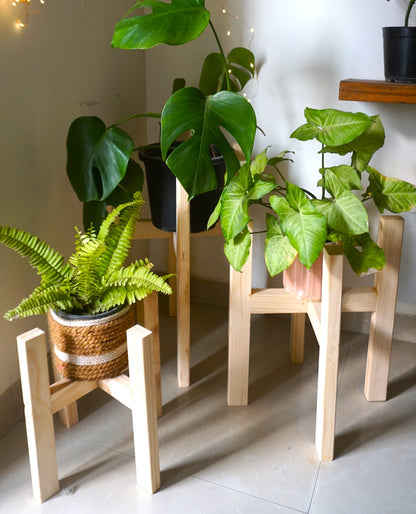 Indoor Plant Stand