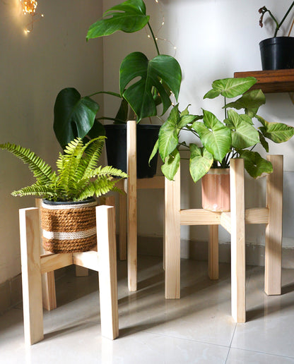 Indoor Plant Stand