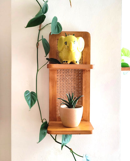 2-Tier Cane Shelf