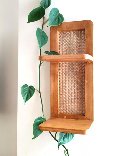 2-Tier Cane Shelf