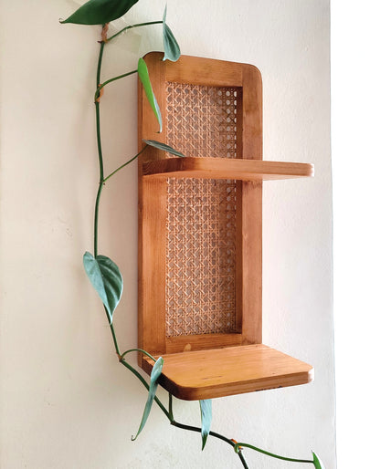 2-Tier Cane Shelf