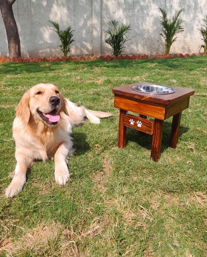 Single Bowl Stand with Paw Tag